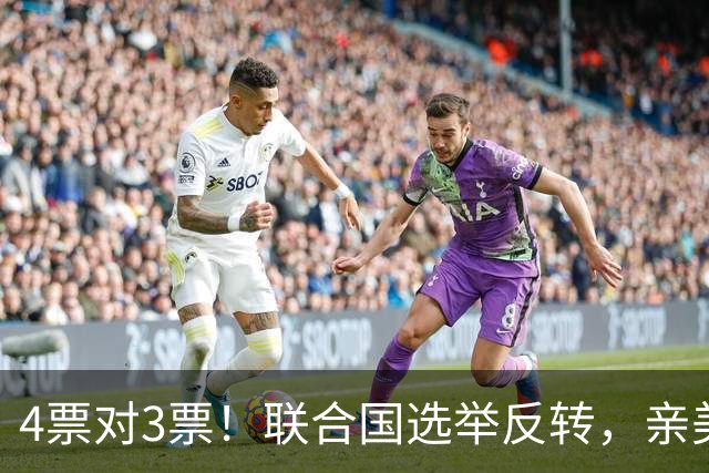 4票对3票！联合国选举反转，亲美候选人垫底，联大反华主席赌输